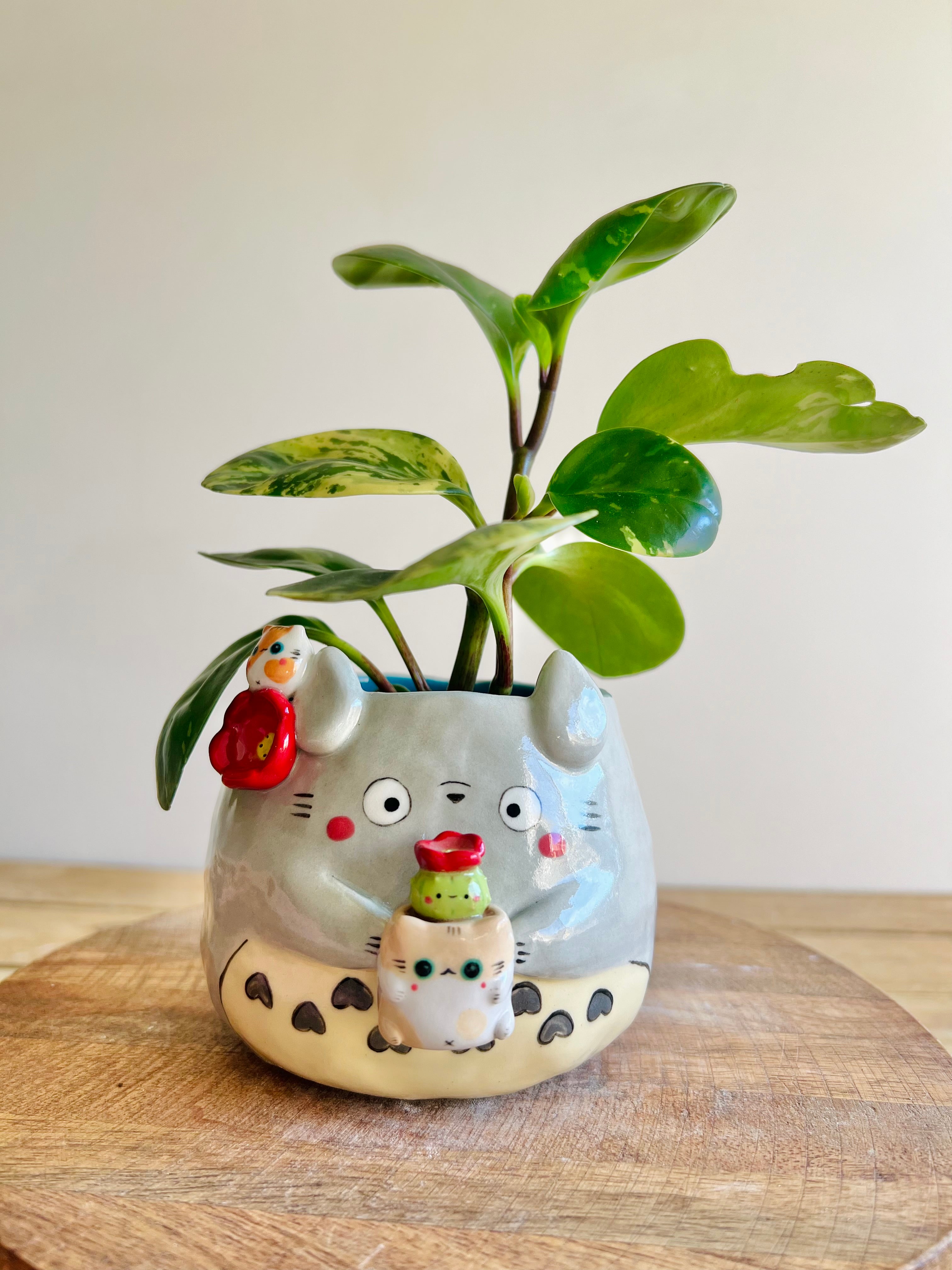 Totoro pot with cat pot and friend