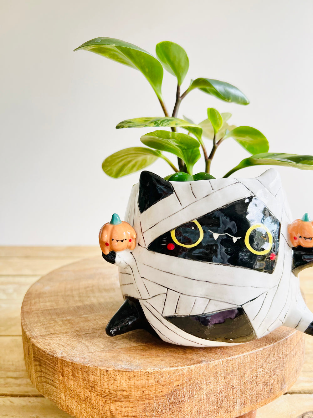 Mummy kitty pot with pumpkin friends, photo 6 of 8