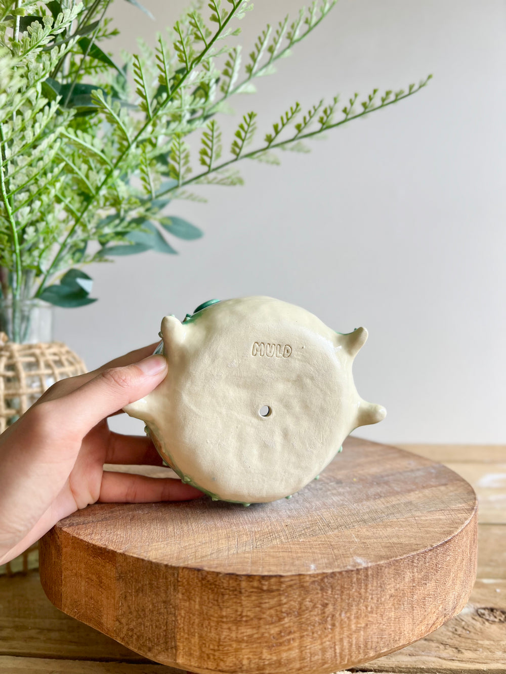Festive grumpy froggo planter #1, photo 11 of 12