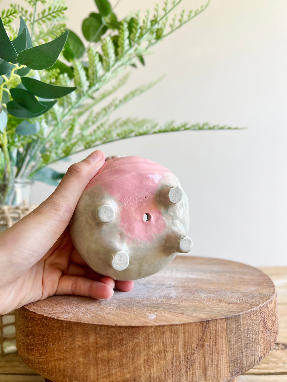 MOO DENG small planter #2, photo 10 of 13