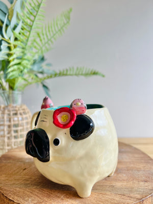 ‘Pugs and kisses’ Puggo muggo with pink galah friends #3