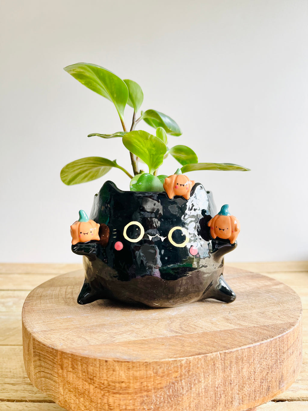 Black cat pot with pumpkin friends