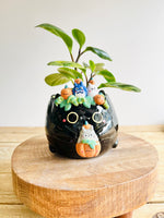 Black cat pot with Totoro and pumpkin friends