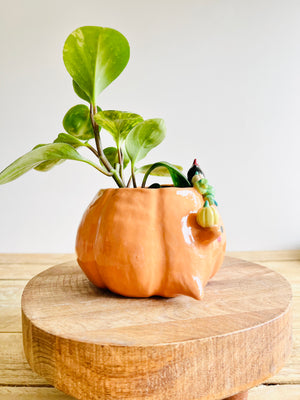 Pumpkin pot with black cat and baby pumpkin friends