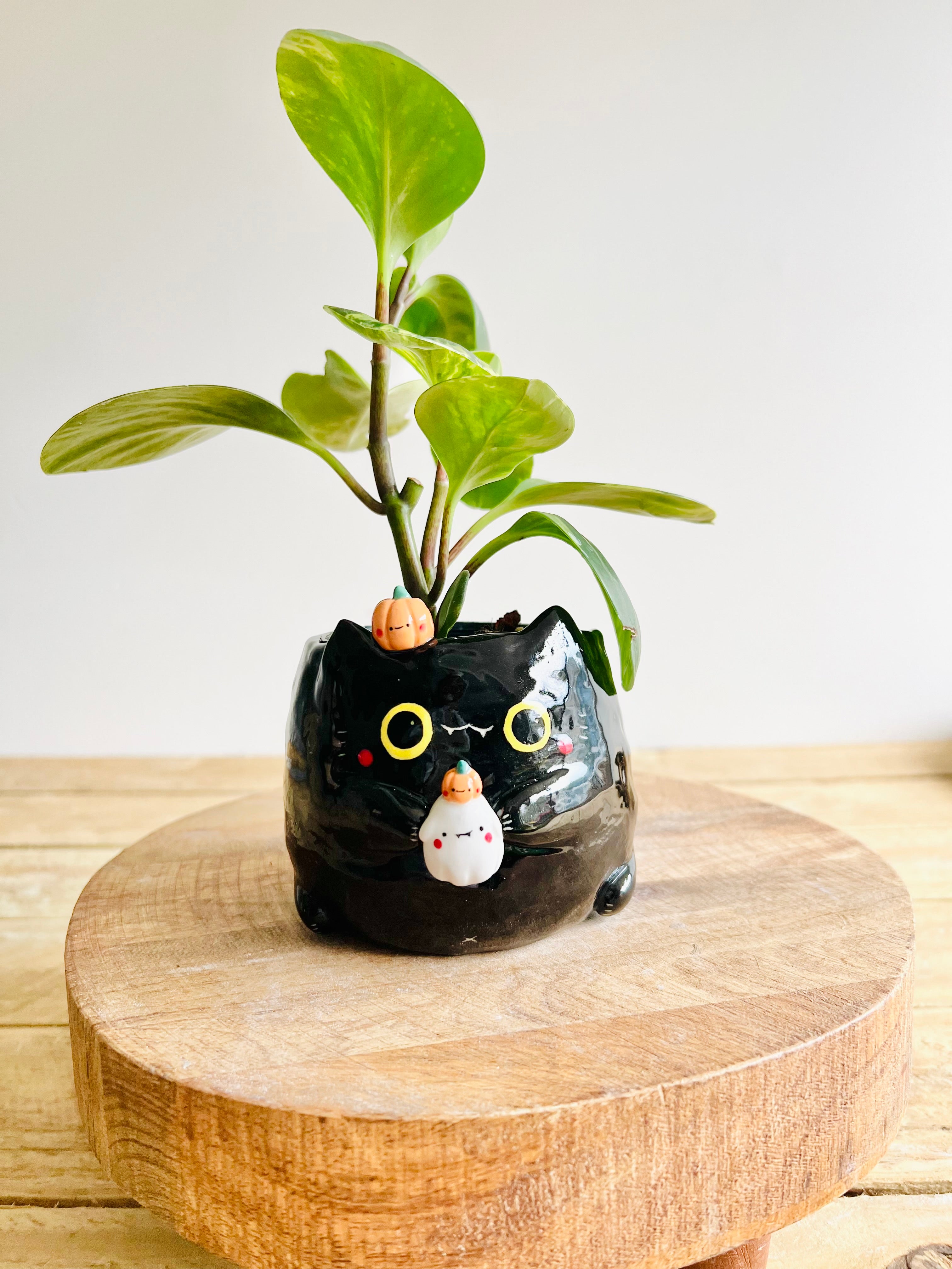 Black cat pot with ghost and pumpkin friends