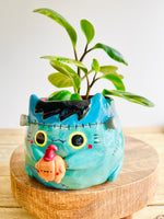 Franken-kitty pot with pumpkin friend