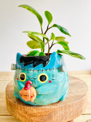 Franken-kitty pot with pumpkin friend