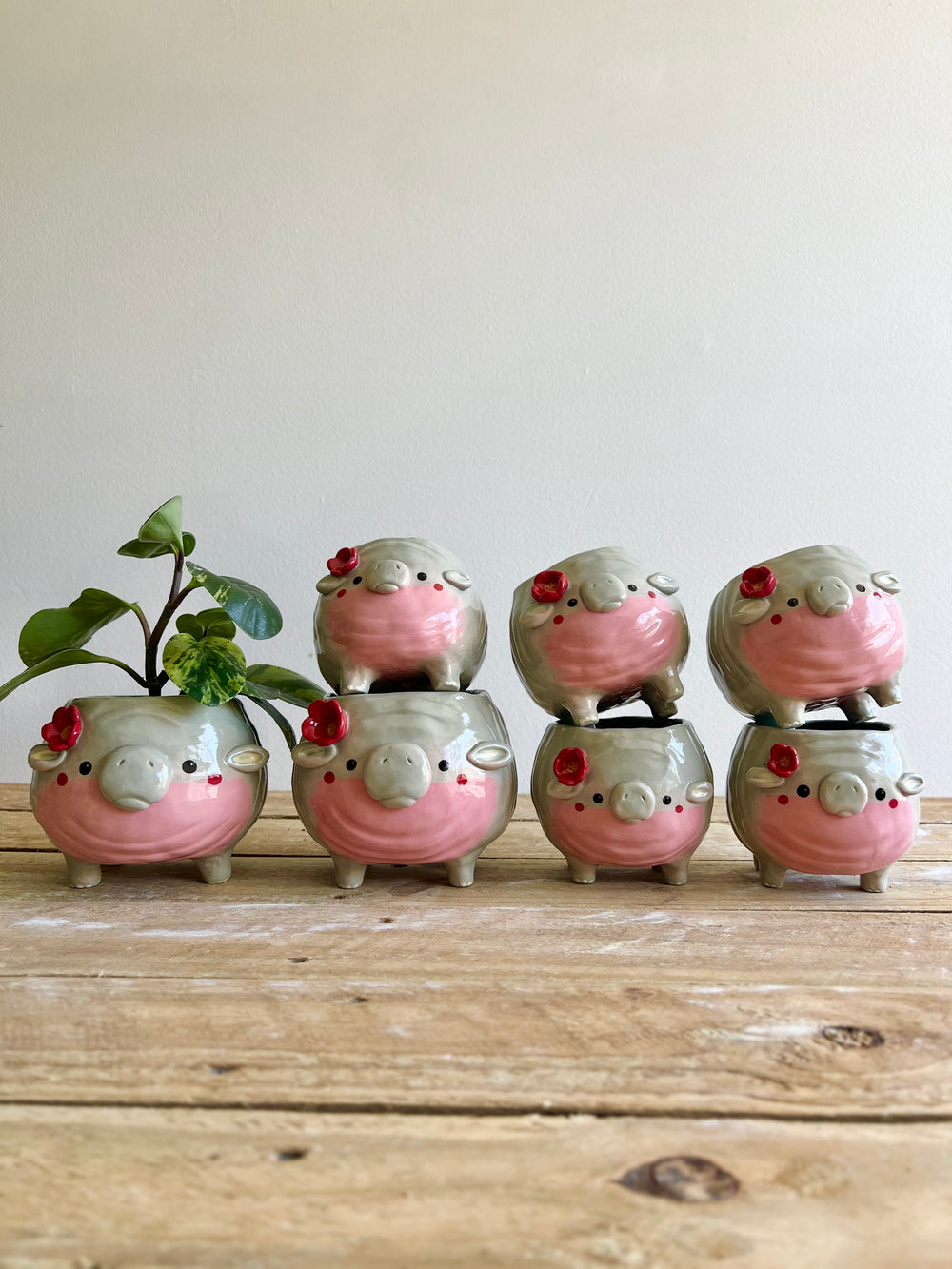 LARGE MOO DENG planter #1, photo 15 of 15
