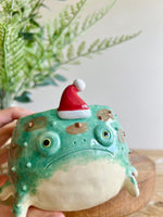 Festive grumpy Froggo planter #2