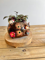 BIG mama Tortie pot