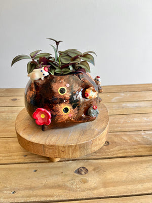 BIG mama Tortie pot