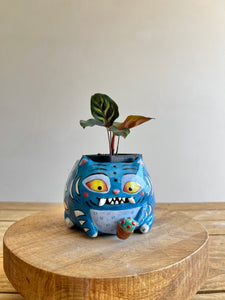 DERPY PREORDER