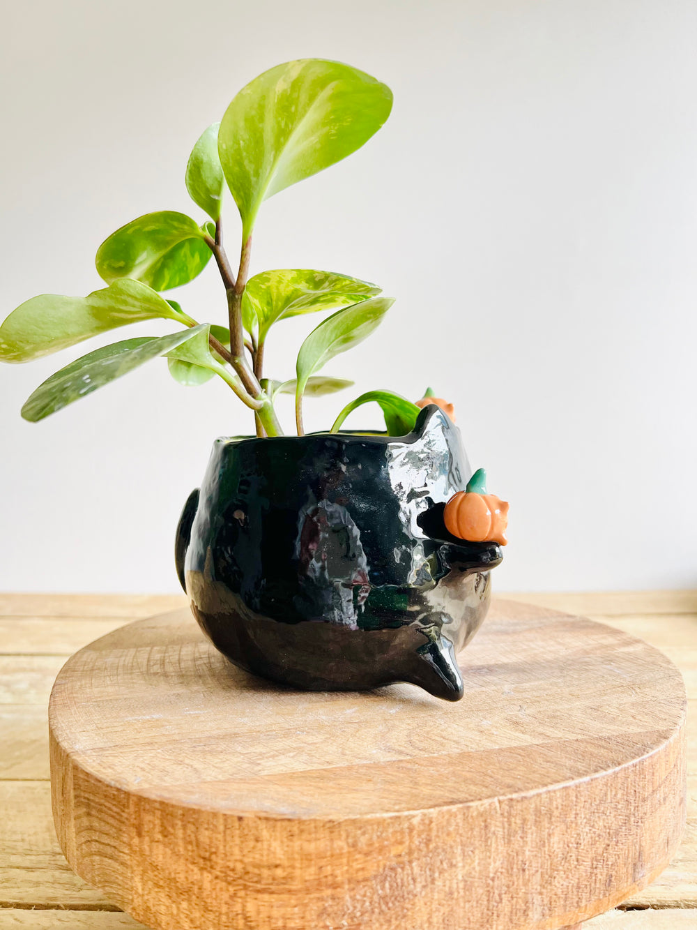 Black cat pot with pumpkin friends, photo 2 of 9