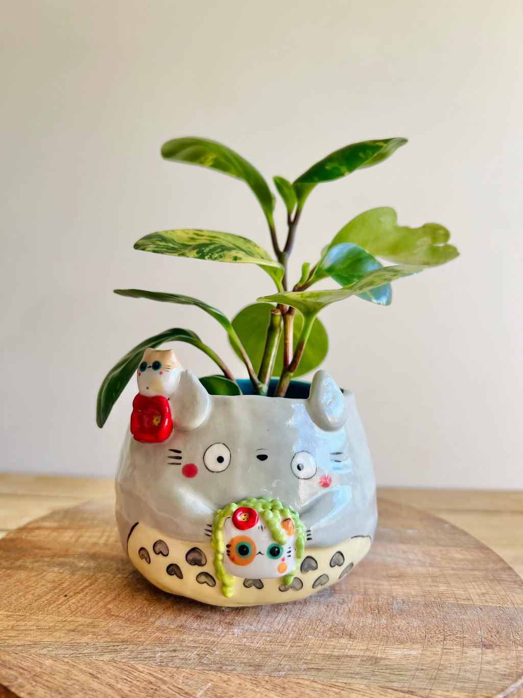 Totoro pot with cat pot and friend (string of pearls)