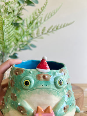 Festive grumpy Froggo planter bearing gift