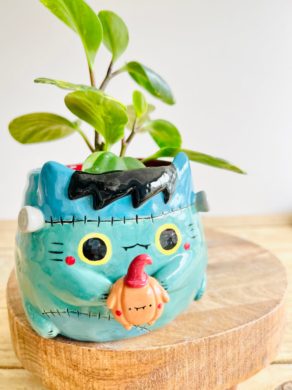 Franken-kitty pot with pumpkin friend, photo 5 of 9