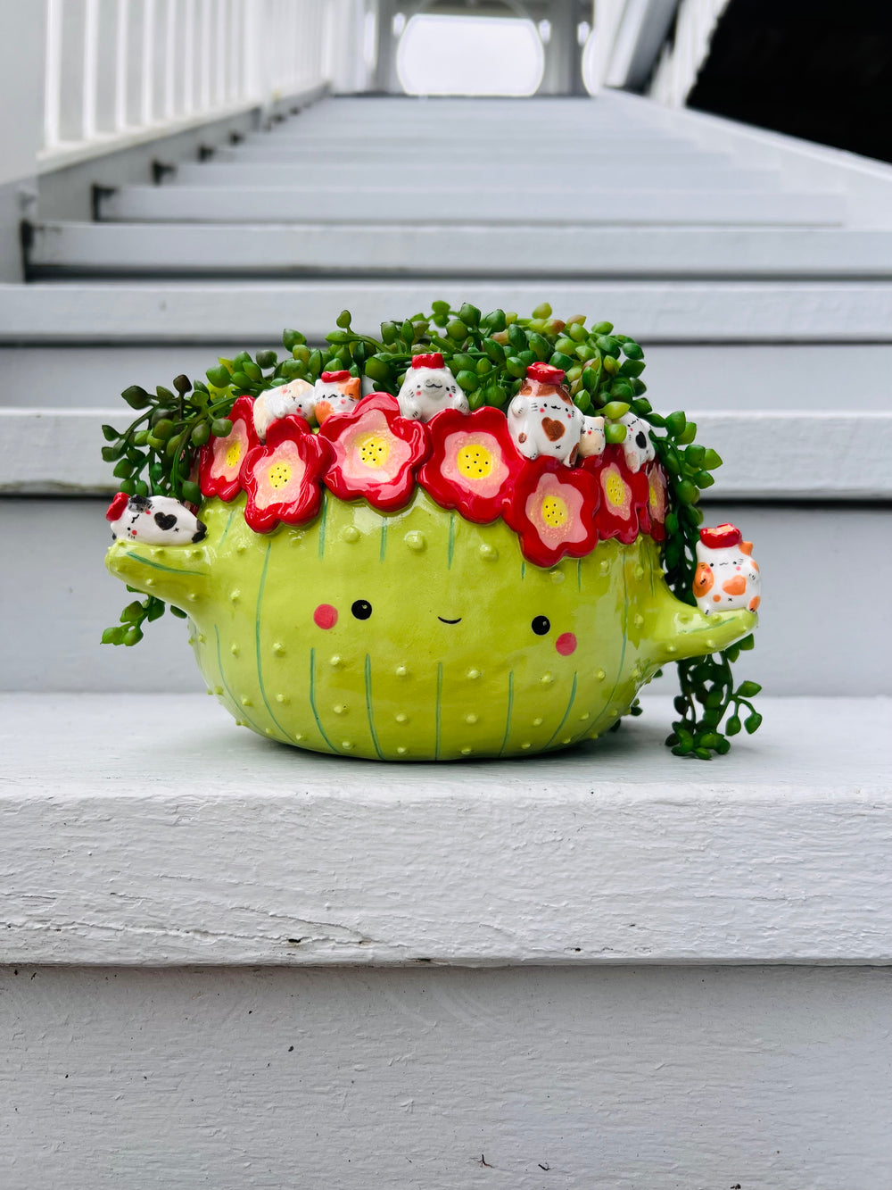 Big mama flowery cactus with cat friends, photo 6 of 7
