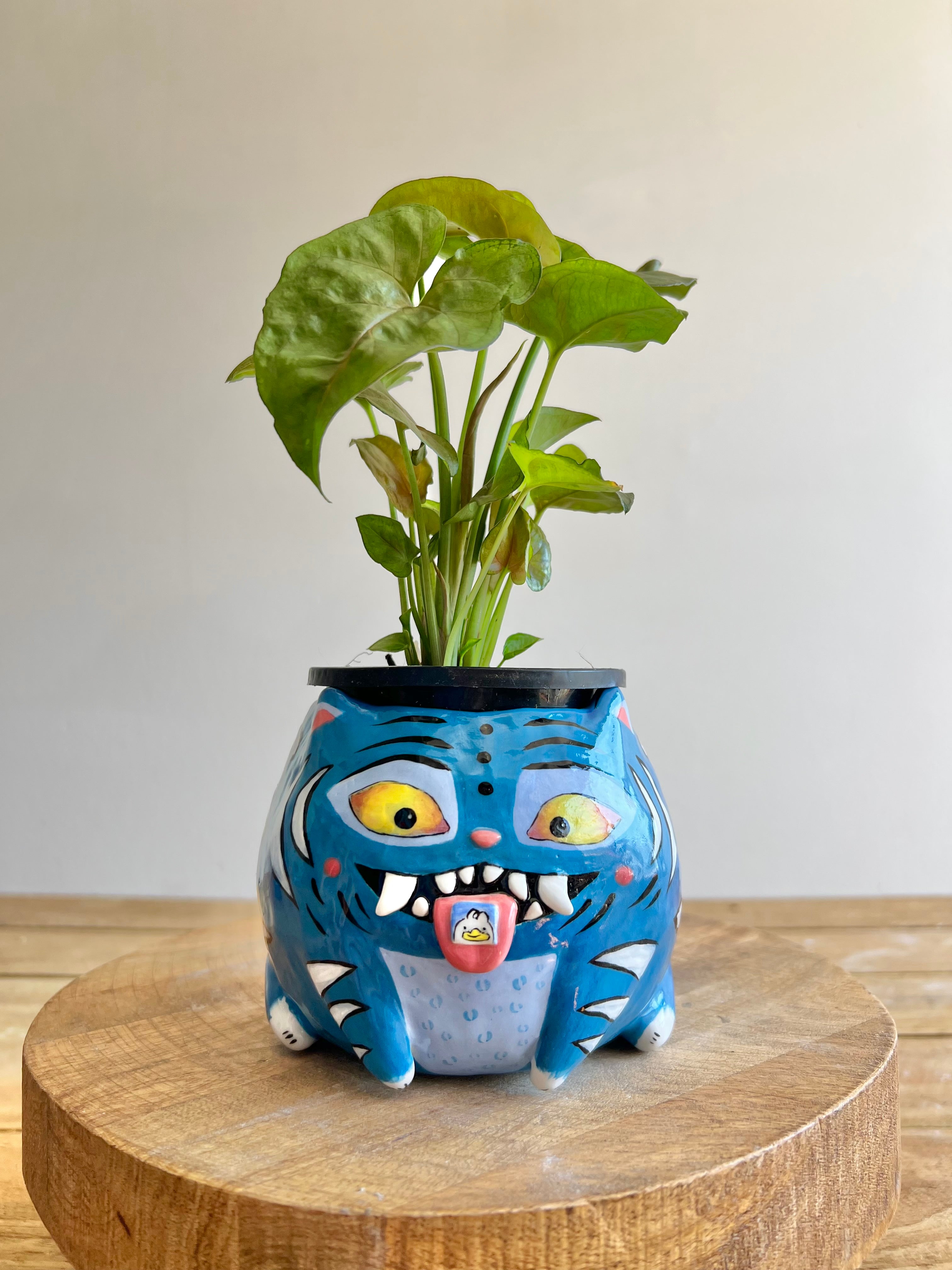 Large Derpy pot
