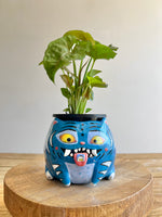 Large Derpy pot