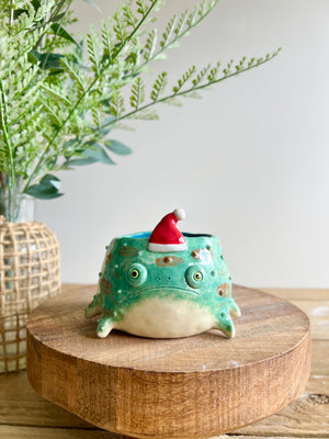 Festive grumpy froggo planter #1