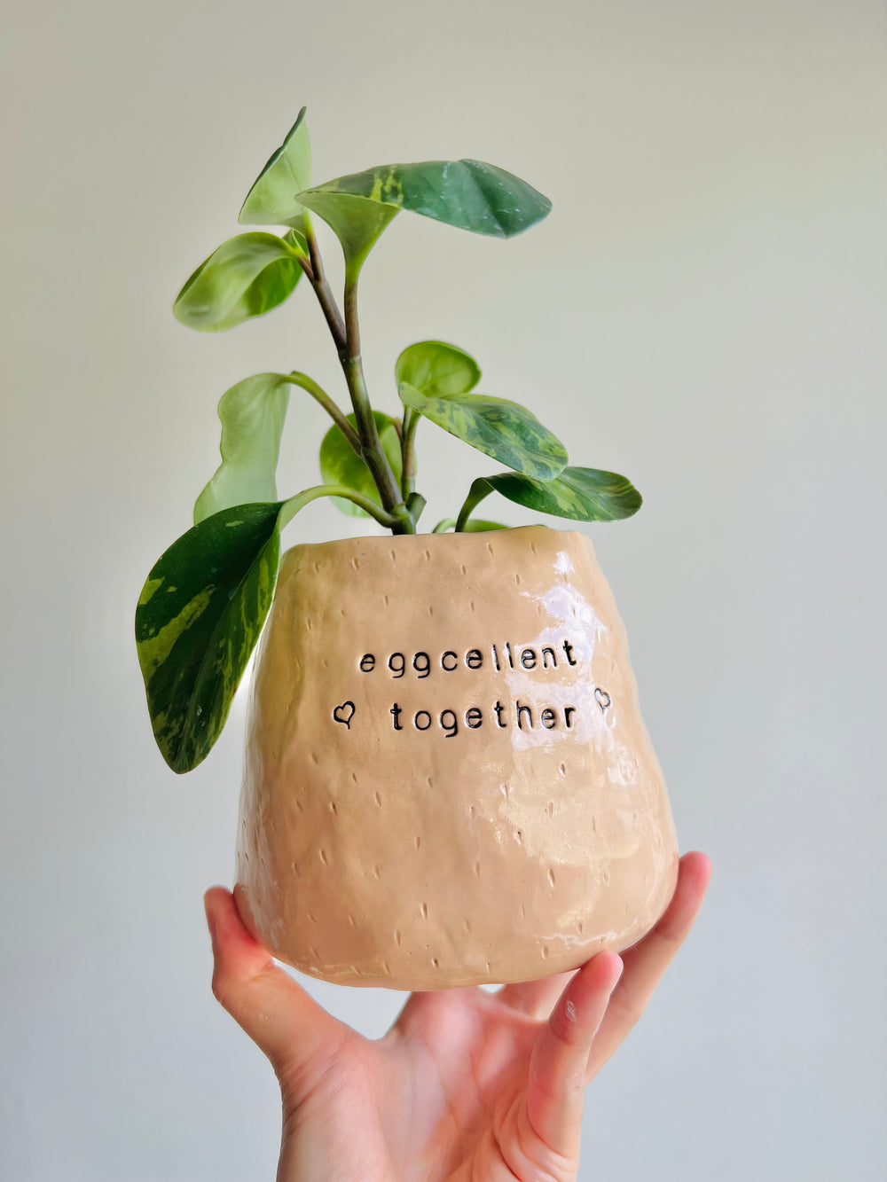 Bacon & Eggs pun love Sloth pot, photo 11 of 13
