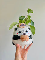 Pie love pun panda pot