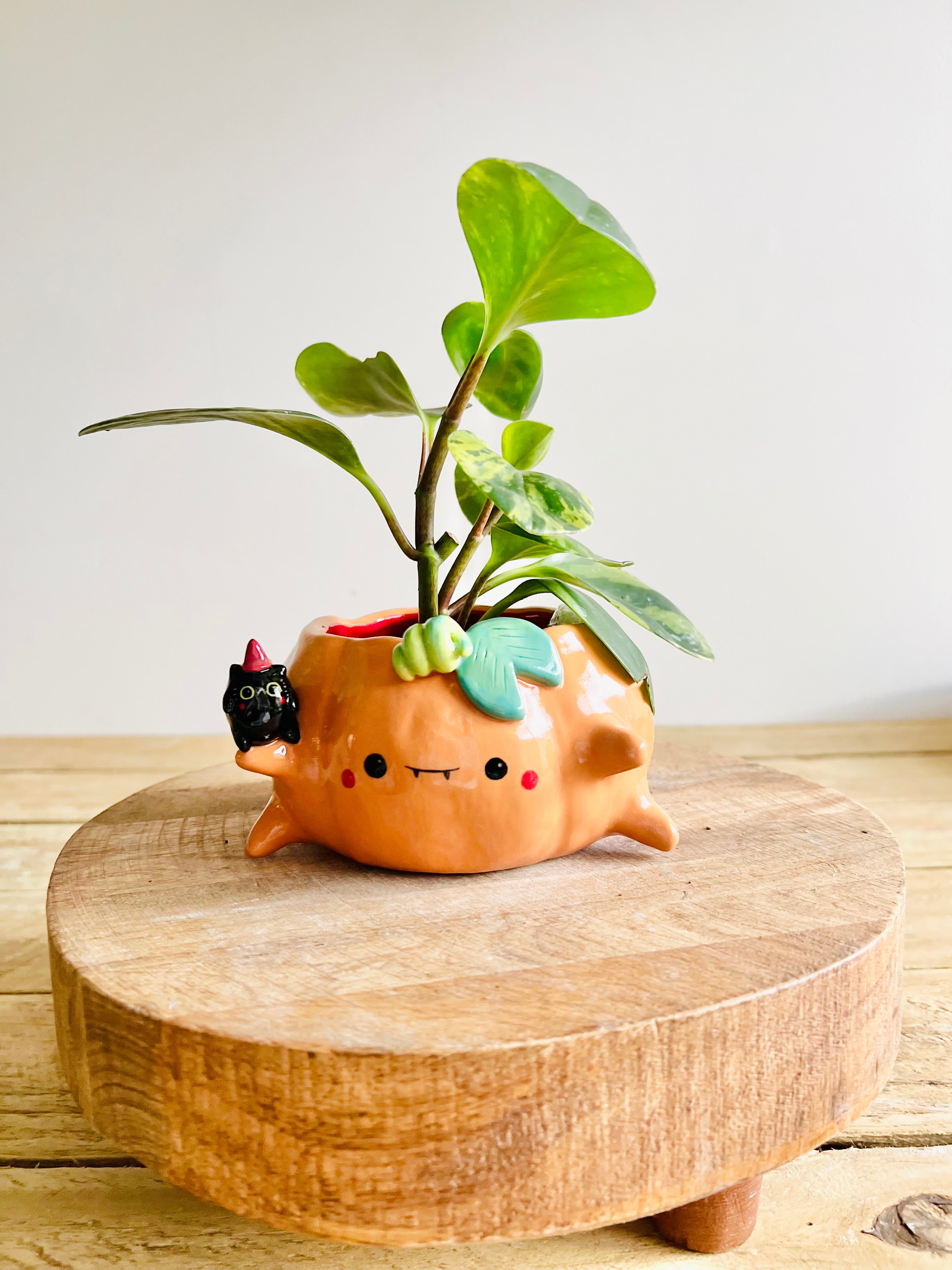 Pumpkin pot with black cat friend