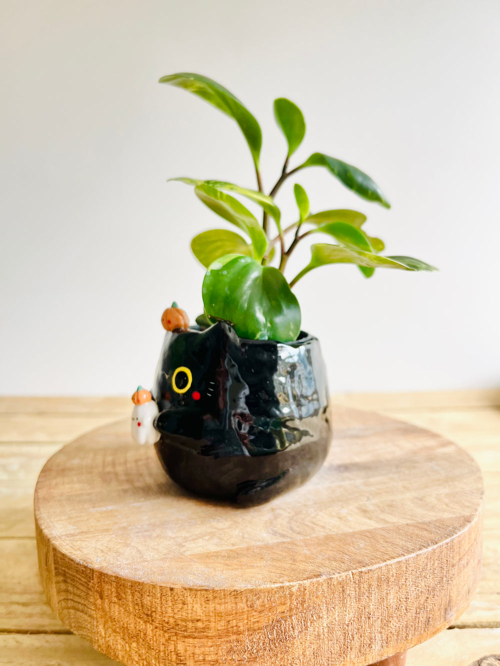 Black cat pot with ghost and pumpkin friends, photo 4 of 7