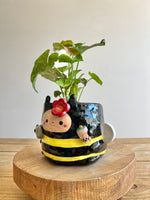 Bee Pot