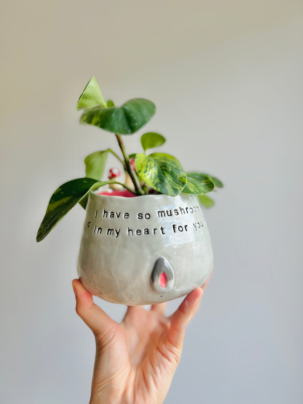 Mushroom pun love bunny pot, photo 11 of 13