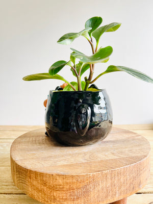 Black cat pot with pumpkin friends