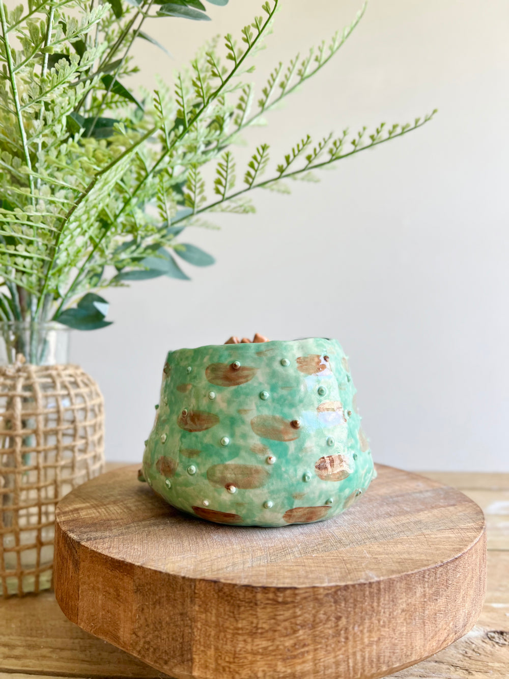 Festive grumpy Froggo planter cracks bon bon with you, photo 5 of 12