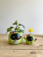 Flowery black CAT-us pot with grey cat friend