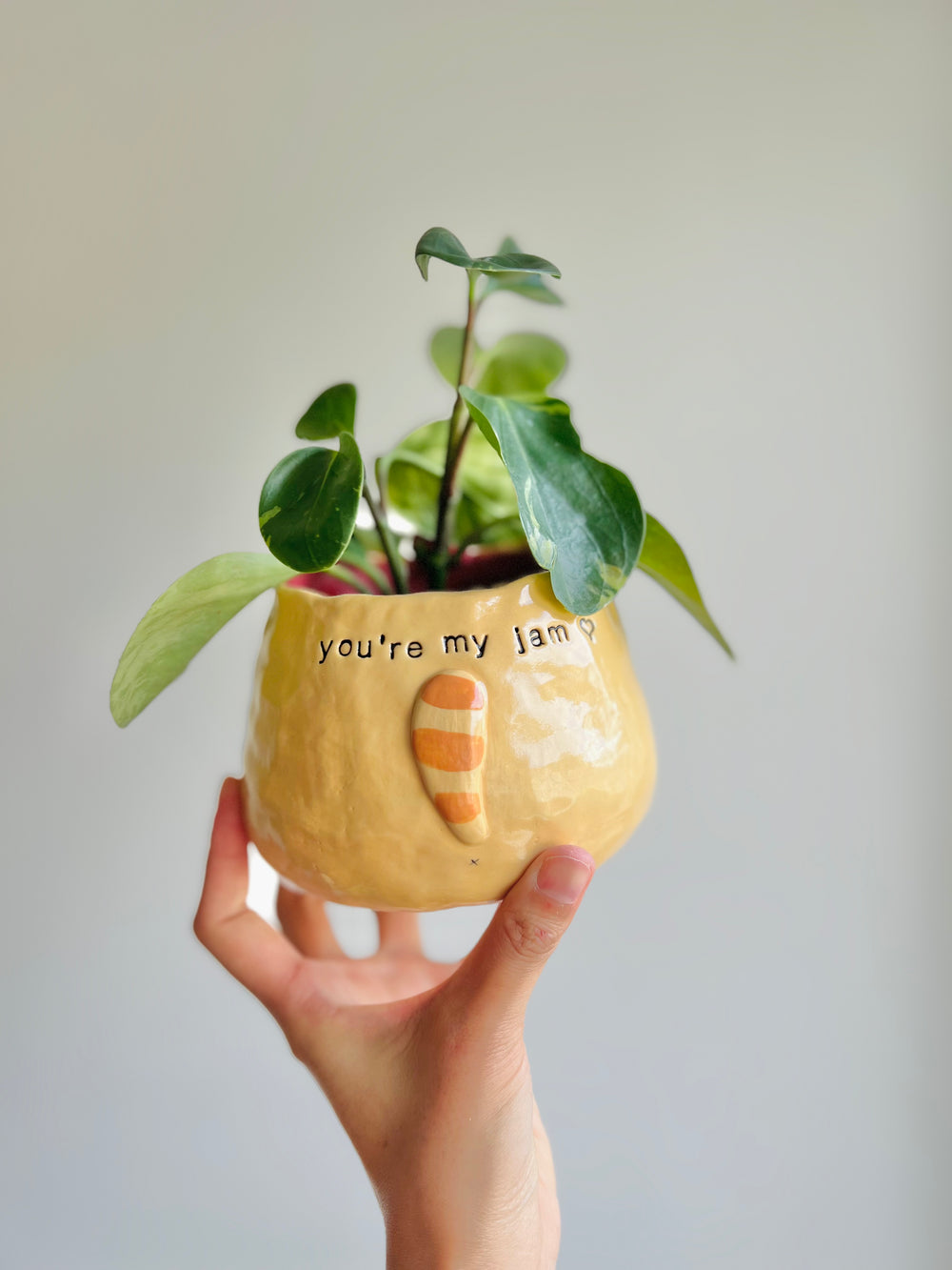 Jammy love pun Ginger cat pot, photo 12 of 14