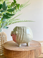 LARGE MOO DENG planter #1