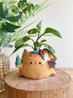 Gift bearing festive Ginger cat pot with Christmas tree friend