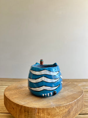 Small Derpy Pot