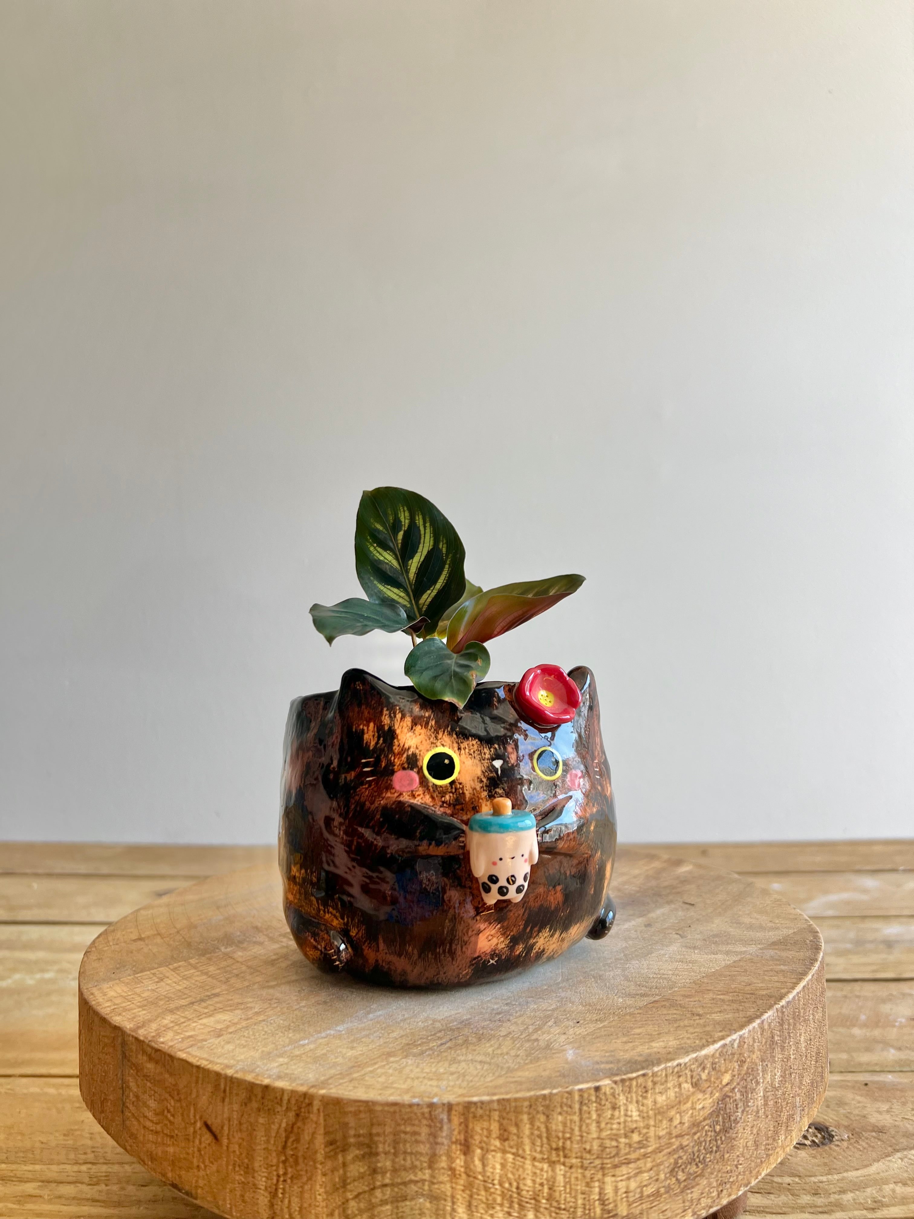Tortie Pot