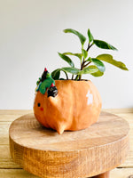 Pumpkin pot with black cat and baby pumpkin friends