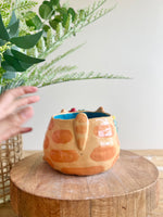 Gift bearing festive Ginger cat pot with Christmas tree friend