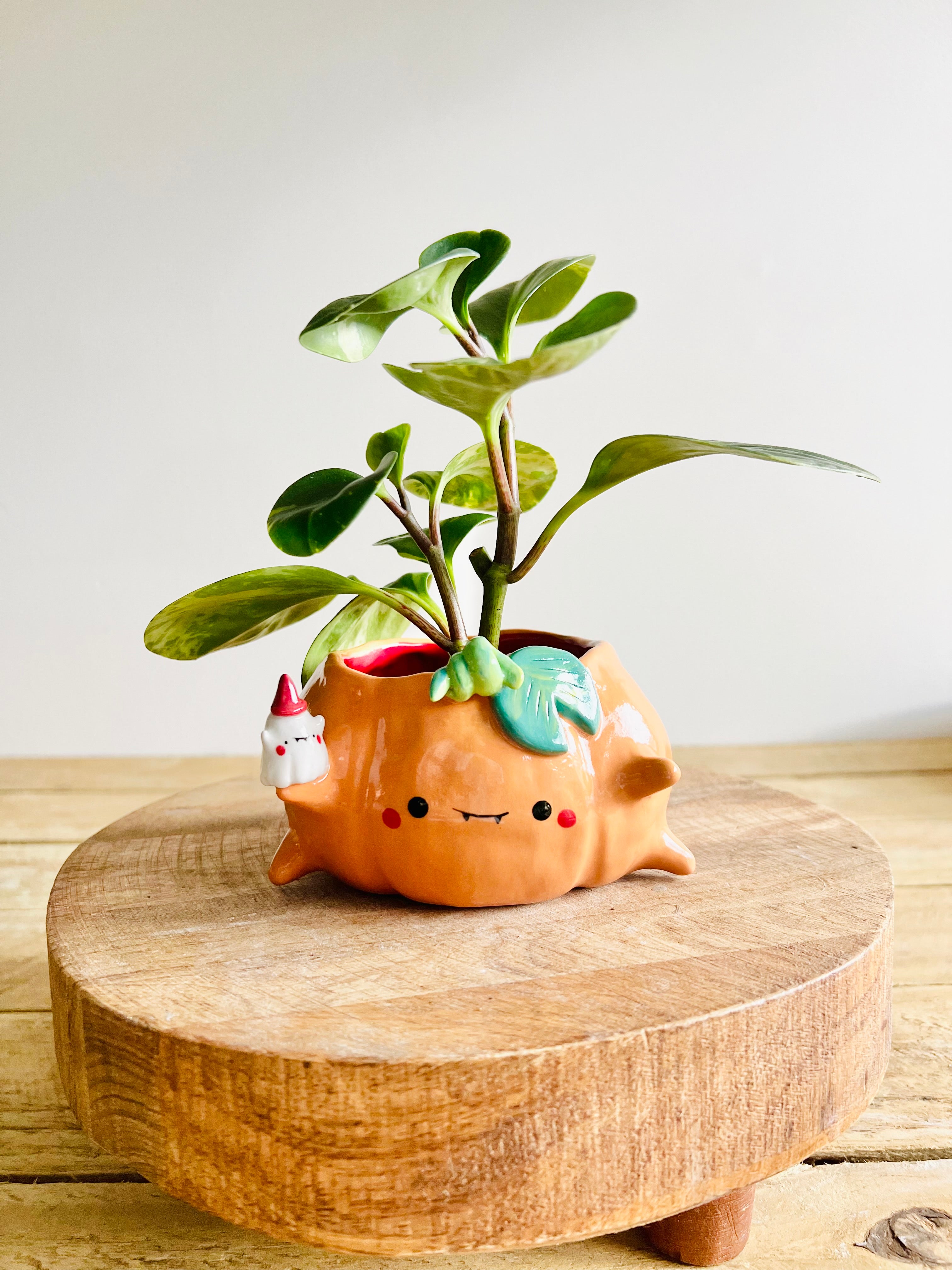 Pumpkin pot with ghost friend