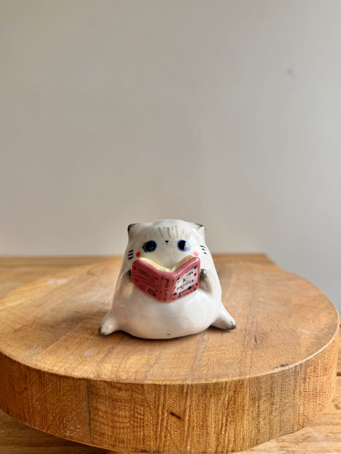 Chubby Cat 14 - view 1