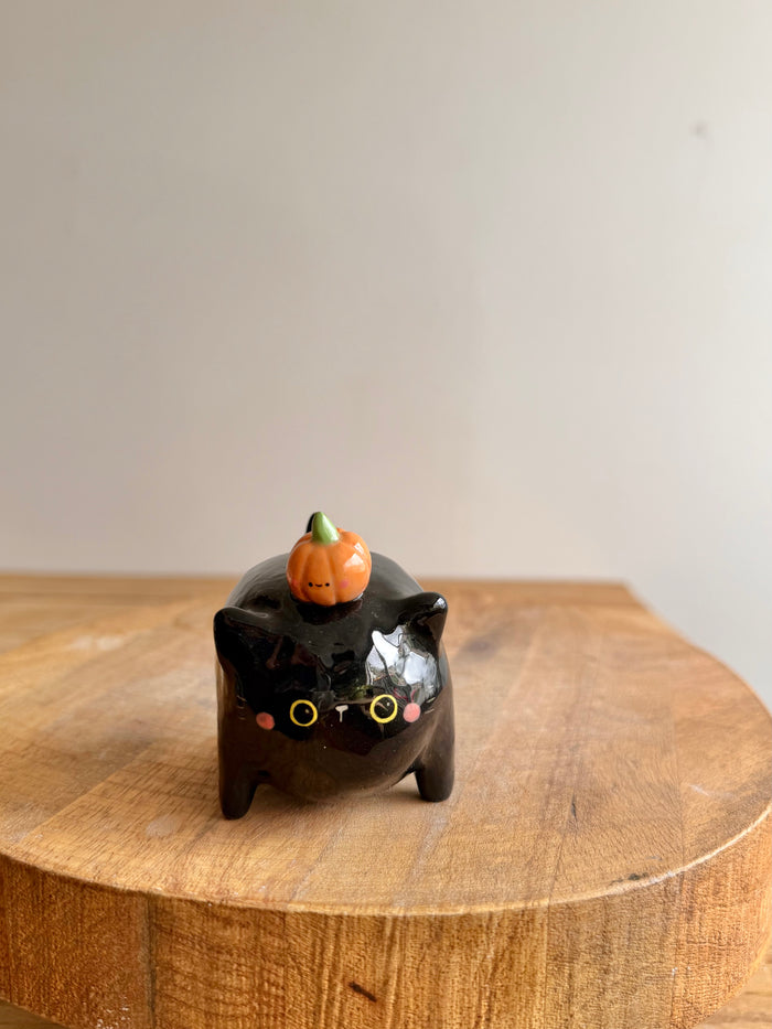 Chubby Cat 32 - view 1
