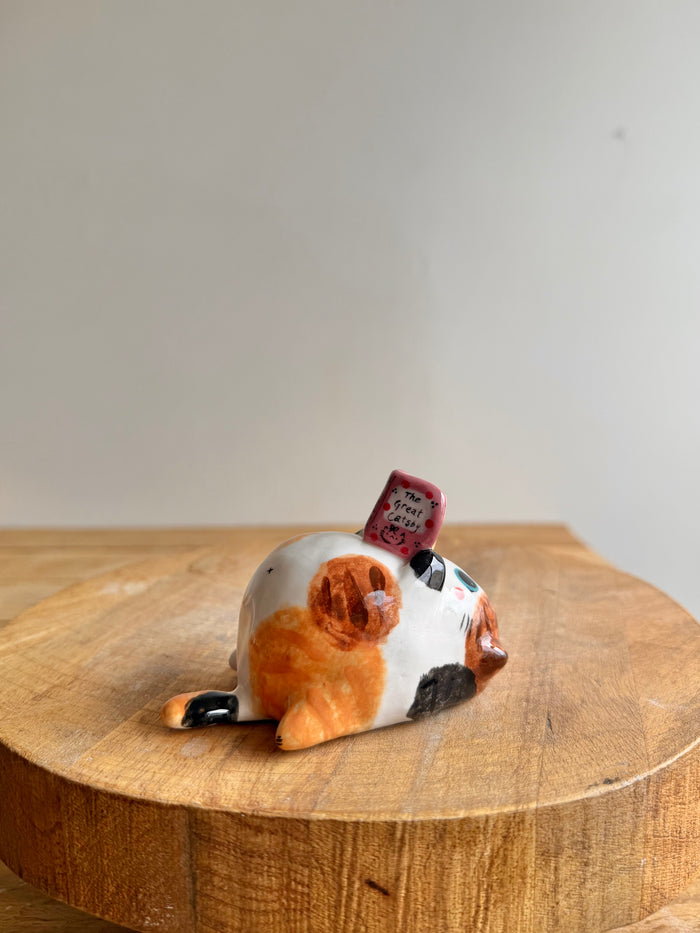 Chubby Cat 63 - view 1
