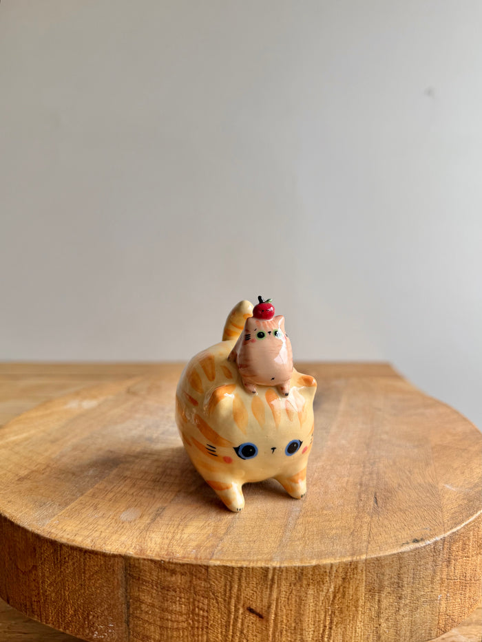 Chubby Cat 71 - view 1