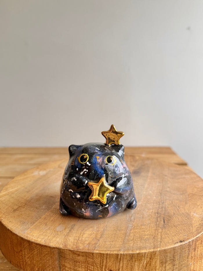 Chubby Cat 76 - view 1