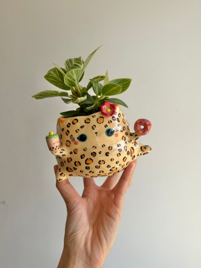 Sugar Rush Chubby Cat Planter — image 1