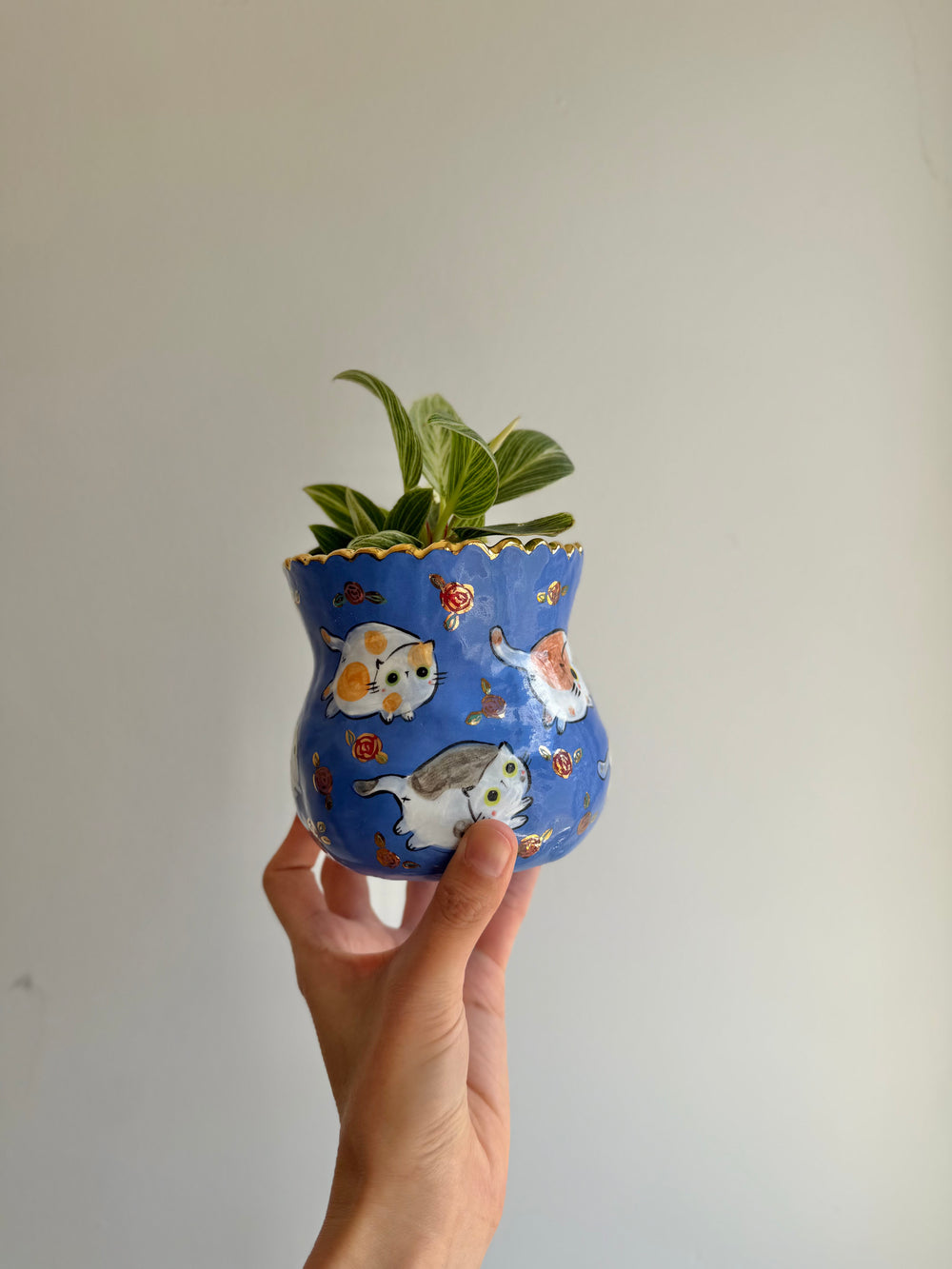 Blue Chubby Cat Parade Planter — image 3, photo 3 of 9