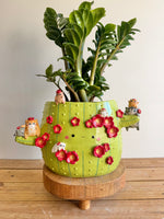The Chubby Cat Cactus Garden — image 1
