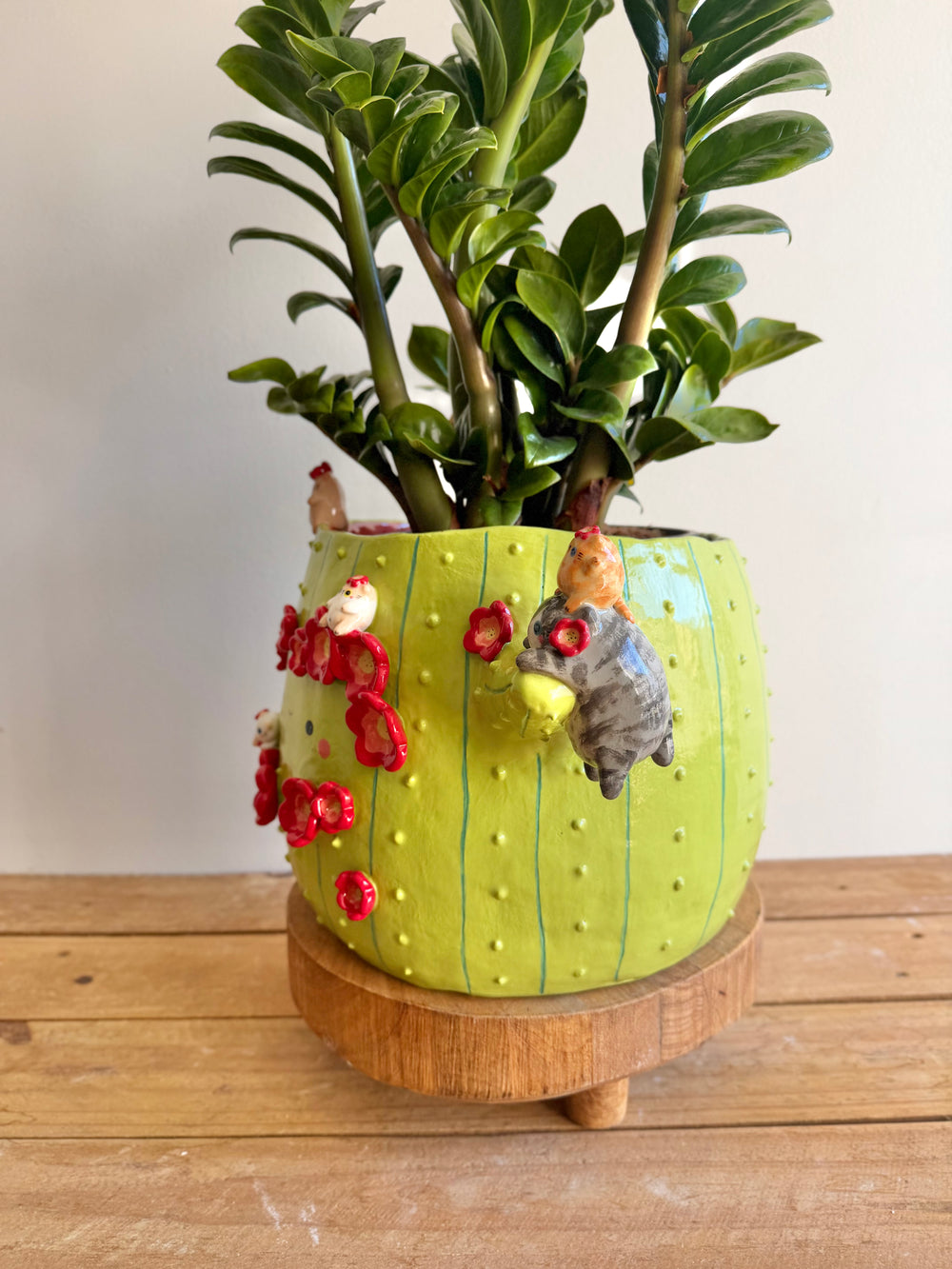 The Chubby Cat Cactus Garden — image 4, photo 4 of 14